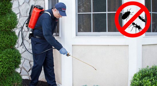 Alaca Kemirgen İlaçlama böcek ilaçlama ve haşere kontrolü — ilaclama-tr.com